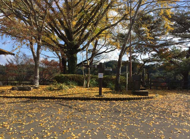 soginotakipark