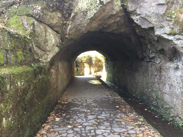 散策路