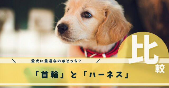 愛犬